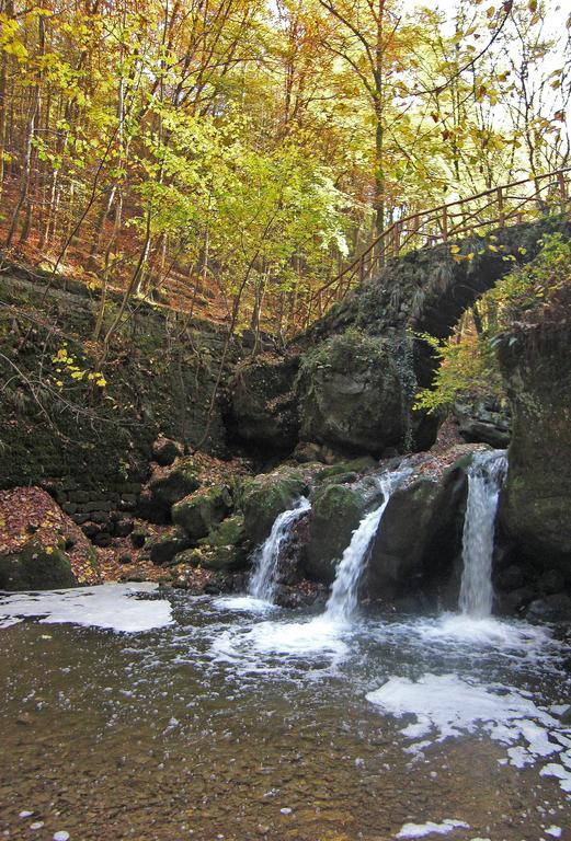 Hotel Hauer Bollendorf Bagian luar foto